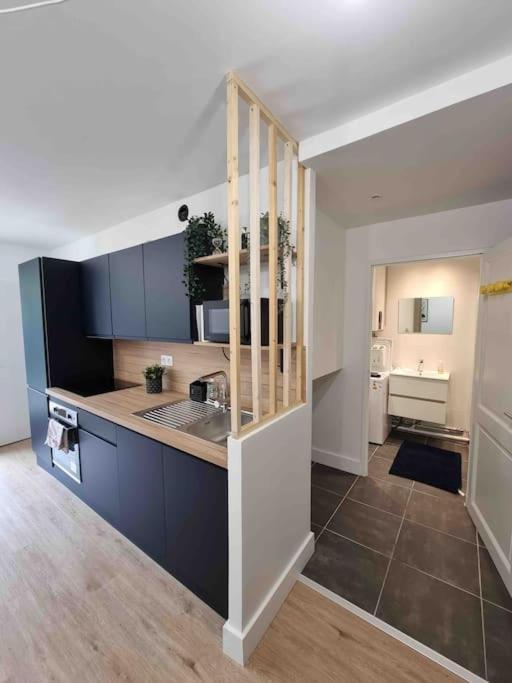 Appartement Le Bon Quai à Grenoble Extérieur photo