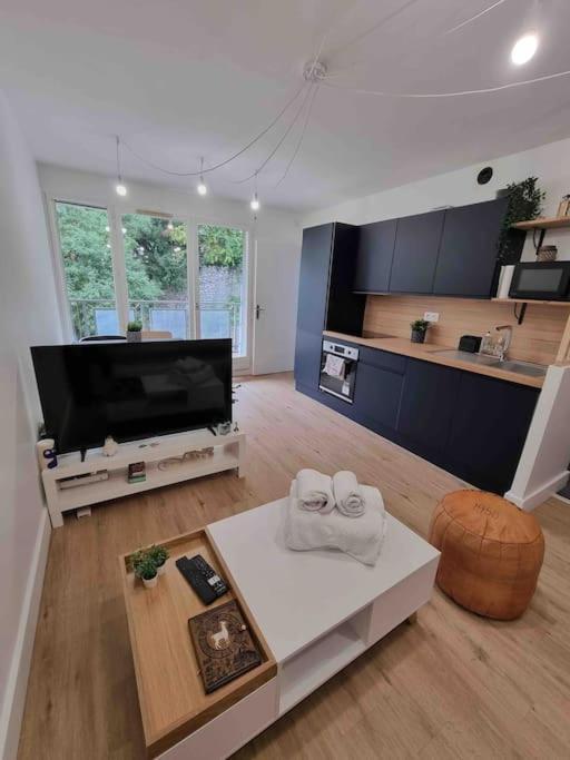 Appartement Le Bon Quai à Grenoble Extérieur photo